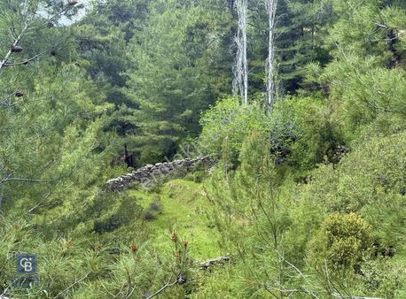 Muğla Yerkesik Kısmi Deniz Manzaralı Tek Tapu Tarla