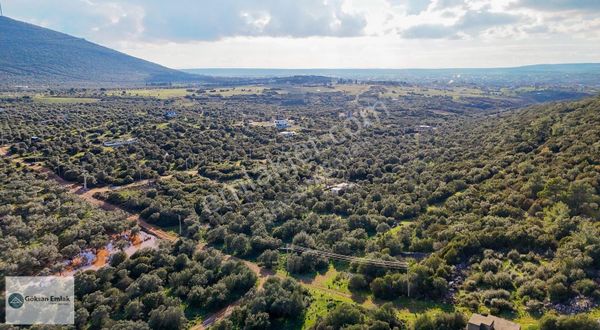 Didim Akyeniköy'de Satılık 300 M² Müstakil Villa Arsa