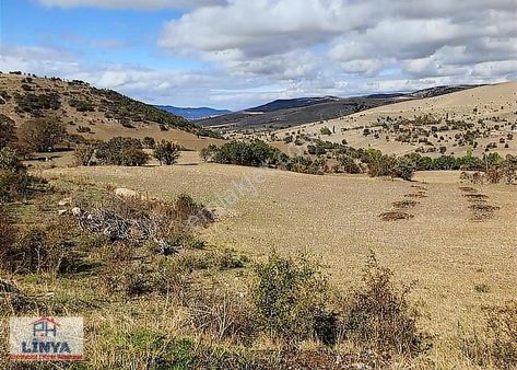 Amasya Gümüşhacıköy Sarayöz Köyün'de Satılık 15 Dönüm Tarla