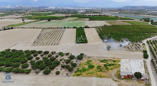 Tamamı Dükkan Veya Ev Takasına Açık 7. Mıntıka 22 Dönüm Tarla