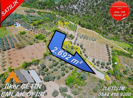 Pınarlı Mahallesinde Huzur Dolu Doğada 2692m² Bağ