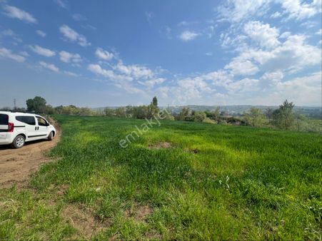 Roma' Dan Kulaca' Da Satılık Tarla