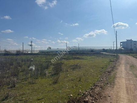 Şafak Emlak Satılık Aşağıkocayatak'ta Asfalta Cephe 6200m2 Hisse