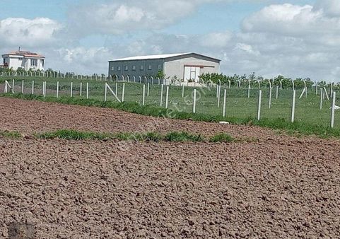 Tekirdağ Saray Kurtderede Yatırımlık Arazi