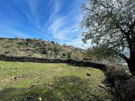 Koçarlı Karaağaçta Köyiçi, Resmi Yolu Olan Tarla