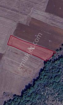 Roma' Dan Yeniyörük Mh. Satılık Tarla