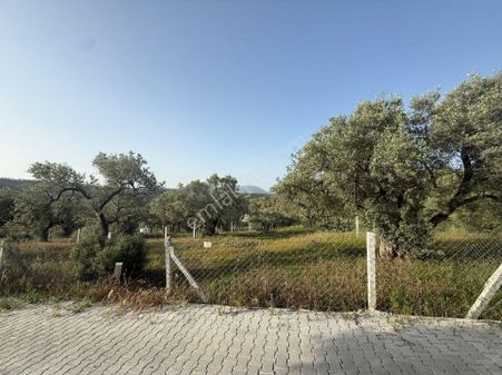 Torbalı Yazıbaşında İmar Bölgesine Yakın Yatırımlık Arsa
