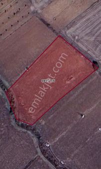 Roma' Dan Osmaniye Mh. Satılık Tarla