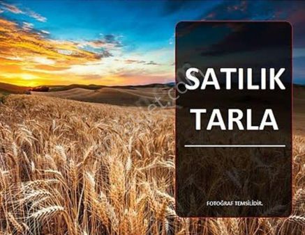 Tekirdağ Süleymanpaşa İlçesi Karacakılavuz Mahallesi'nde 5900 Metrekare Satılık Tarla