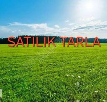 Tekirdağ Süleymanpaşa İlçesi Karacakılavuz Mahallesi'nde 3.800 Metrekare Satılık Tarla