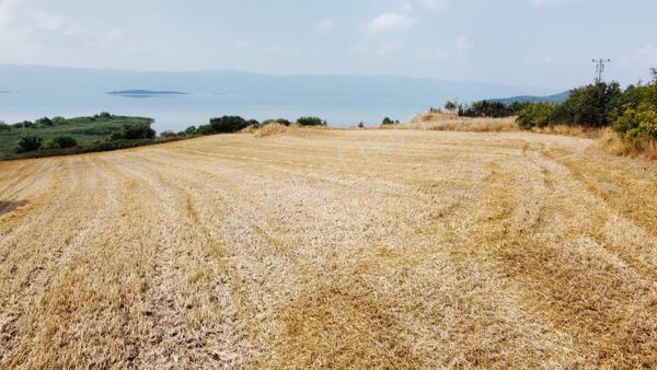 Burhan Ardıç'tan Karacabey Eskikaraağaç 11.100 M2 Göl Kıyısı Arazi
