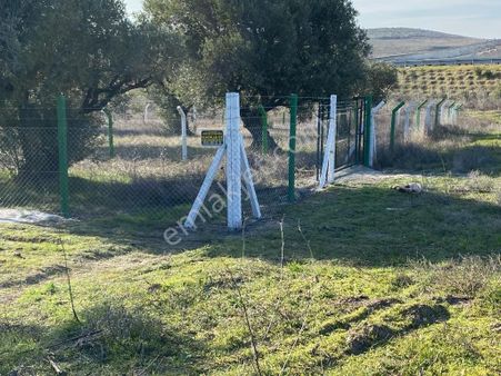 Utku Gayrimenkulden Akhisar Ballıca Mahallesinde Satılık Müstakil Hobi Bahcesi
