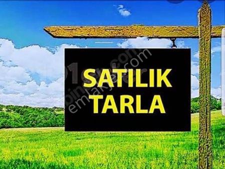Tekirdağ Süleymanpaşa İlçesi Yavuz Mahallesinde 6959.94 Metrekare Satılık Tarla