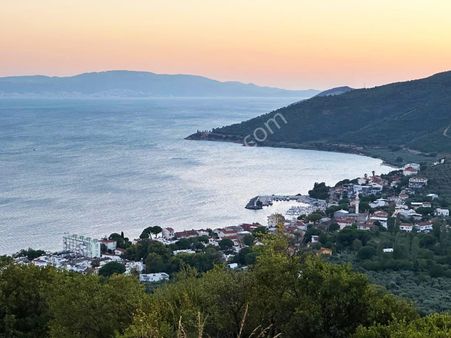 Cb Focus'tan Gemlik / Narlı 'da Satılık Deniz Manzaralı Arazi