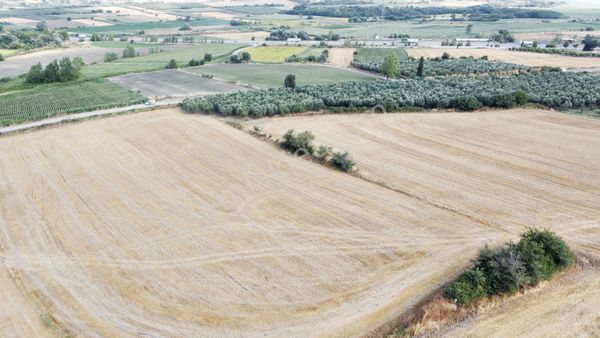 Burhan Ardıç'tan Karacabey Eskikaraağaç 10.200 M2 Arazi