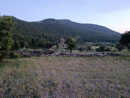 Milas Çiftlik'te Yola Sıfır Z.tarla