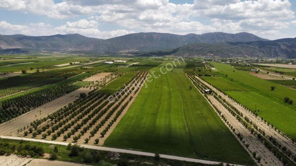 Korkuteli Kargın Mahallesinde Yatırımlık Önü Arkası Yol Olan Sulak Tarla