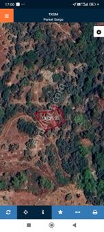 Söğütçük Mahallesinde Uygun Fiyat Satılık Zeytinlik