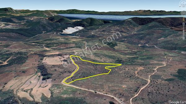 Elvan Özçelik'den Çökertme Geren Sahiline Yakın Zeytinli Tarla