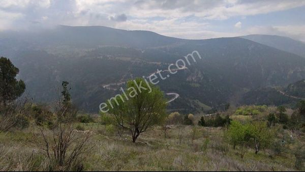 Bursa Keles Gelemiç Köyü’nde Vadi Manzaralı Hobi Bahçesi!