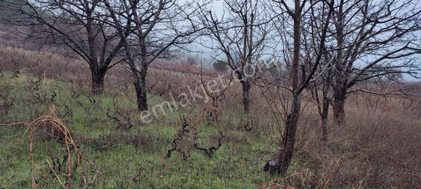 Doğanın İçinde, Yatırımlık Fırsat! Bursa Keles Gelemiç Köyü'nde Satılık Vadi Manzaralı Tarla