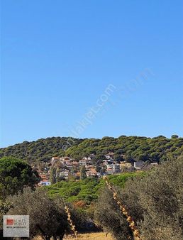 Rw Nefes 'ten Ayvalık Bağyüzü' Nde 4727 M2 Bağ Nitelikli Arsa