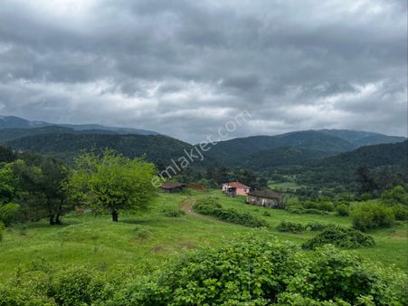 Kaz Dağlarının Eteklerinde Yatırımlık Harika Arsa