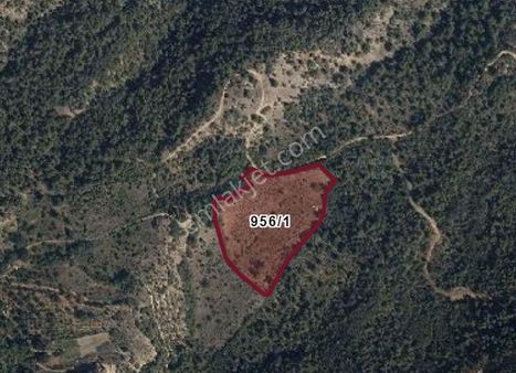 Mihalgazi Alpagut' Ta Satılık Tarla