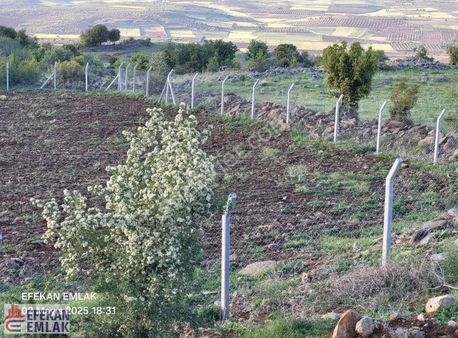 Gaziantep Şahinbey Kuşçu Tapulu Etrafı Çevrili Yatırımlık Yer