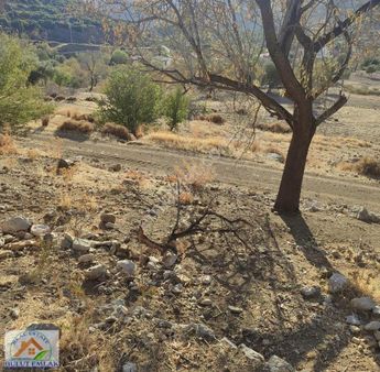 Bulut Emlak Bozburun Arıkyer'de 2.456 M2 Satılık Tarla