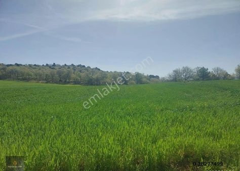 Konya Akören Avdan Mevki 5882 M2 Müstakil Yol Cepheli Arazi Satılık