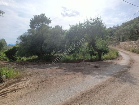 Buca Kaynaklarda Hisse Tapulu Arsa