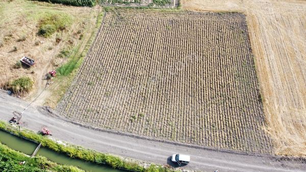 Burhan Ardıç'tan Karacabey Eskikaraağaç2.145 M2 Tarla