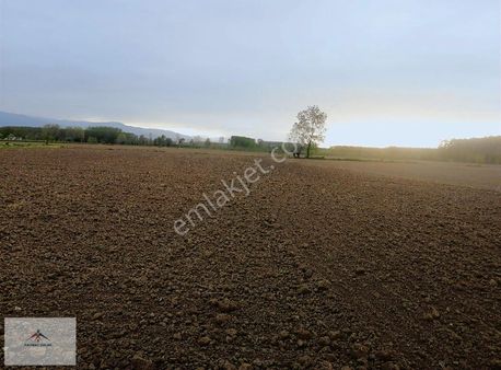 Gelişmekte Olan Bölgede İmar Sınırında Satılık Arazi