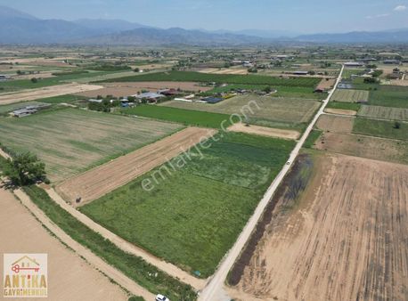 Antika Gayrimenkulden Ödemişe 8 Km Mesafede Satılık 1375m² Tarla