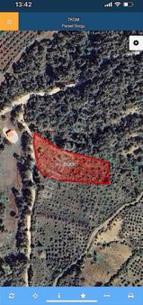 Osmaniye Merkez Serdarlı Köyü Kaypakta Bağ