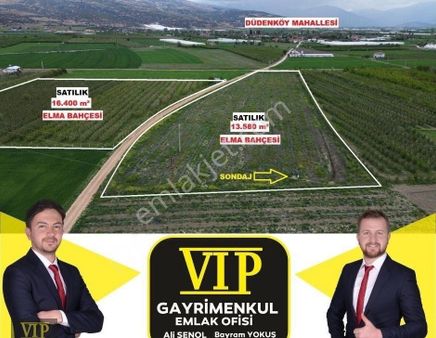 Vıp Gayrimenkul'den Düdenköy Mah. En İyi Lokasyonda Elma Bahçesi