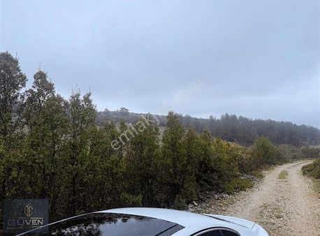 Muğla Merkez Çiftlik Köyü Satılık Arazi