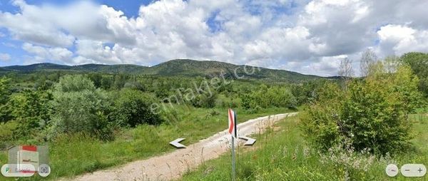 Ilgın Gökçeyurt'ta 2333m2 Yeşillikler İçinde Yola Cepheli Bahçe