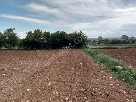 Kırklareli Vize Evrenli Köye Yakın Bağ-bahçe-hobi Bahçesi 289 M2 Parsel