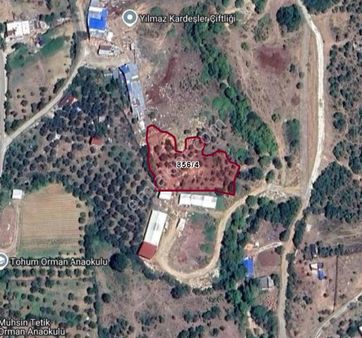 The World Seller'den Güzel Mevkide Tarla