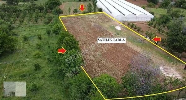 Mehmet Kurubaş Emlak'tan Yuva Mah.2390 M2 Satılık Tarla