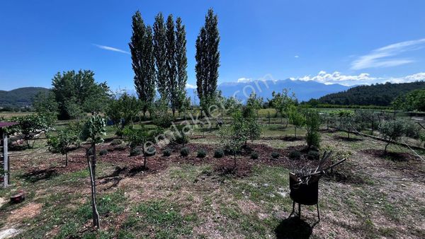 Stop’tan Kabaağaç 8.025 M² Elektrik Su Yol Sorunu Olmayan Arazi