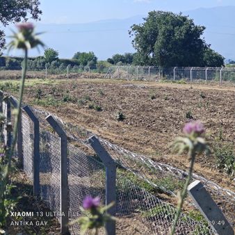 Antika Gayrimenkul'den Ödemiş Küçükavulcuk Mh. Kiralık Tarla