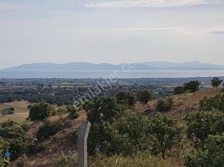 ✅türkiye’nin En Güzel Yeri İzmir Dikili’de Satılık Zeytinlik