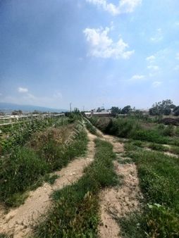 Nazilli Güzelköy'de Müstakil Tapulu Bahçe