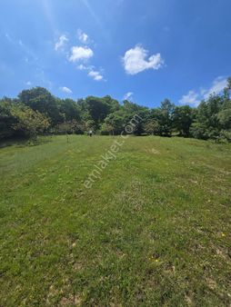 Yenişehir Beypınar Köyünde Satılık Hobi Bahçesi