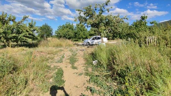 Milyarder'den Satılık Tarla Bilecik, Pazaryeri, Fıranlar Köyü
