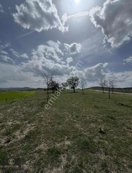 Ck38-*desticiler Güvencesiyle*yenisofça İmar Sınırı'nda