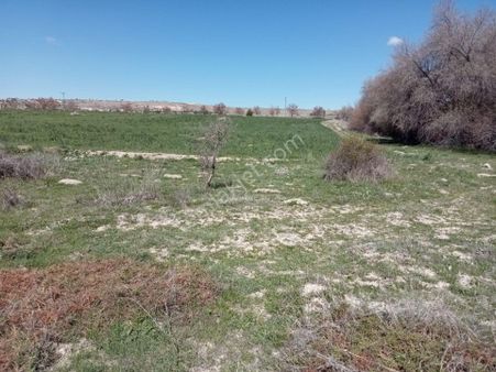 D696 Anayola 25m. 19275m2 Satılık Tarla